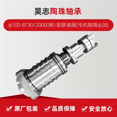 Haozhi/Taozhu Bearing/φ100-BT30/20000 RPM/coupling (motor shaft end φ28)